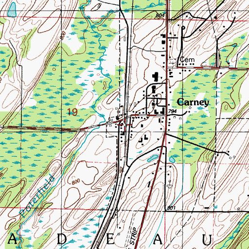 Topographic Map of Carney, MI