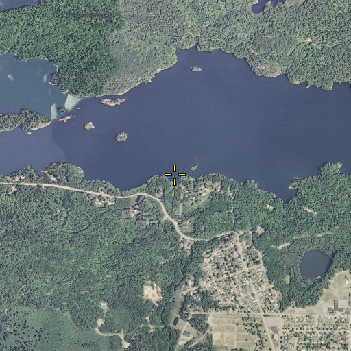 Aerial/Satellite Image of Carp Creek, MI
