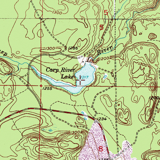 Topographic Map of Carp River Lake, MI