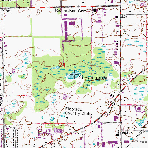 Topographic Map of Carus Lake, MI
