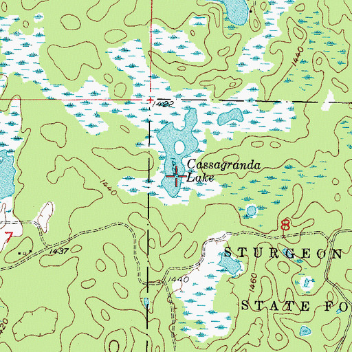 Topographic Map of Cassagranda Lake, MI