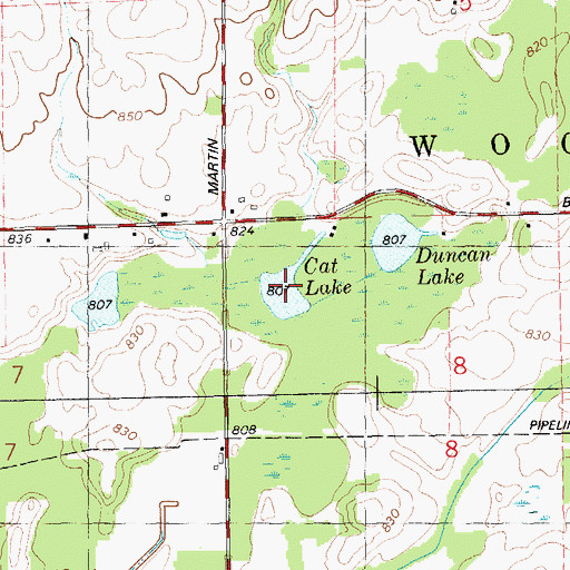 Topographic Map of Cat Lake, MI