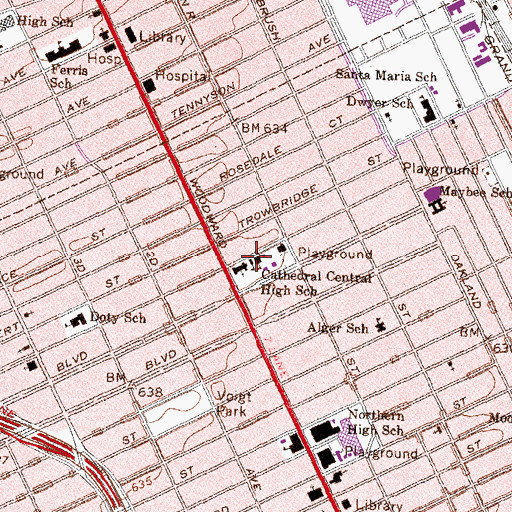 Topographic Map of Cathedral Central High School, MI