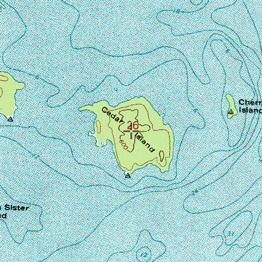 Topographic Map of Cedar Island, MI