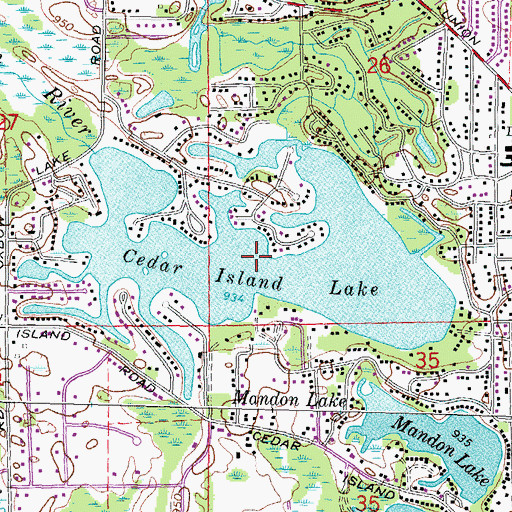 Topographic Map of Cedar Island Lake, MI