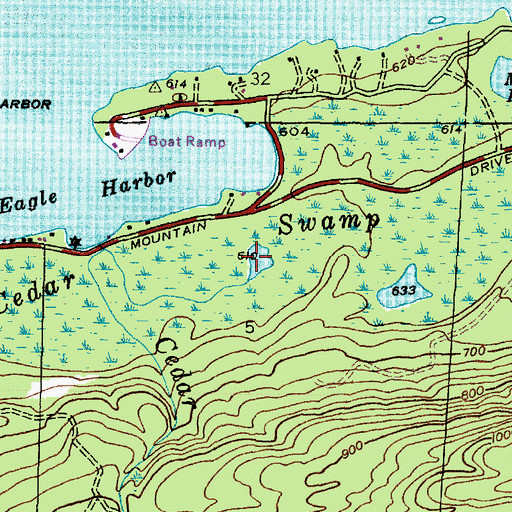 Topographic Map of Cedar Swamp, MI