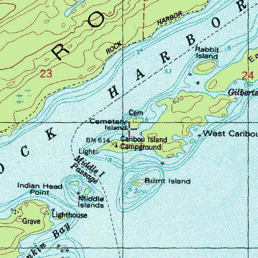 Topographic Map of Cemetery Island, MI