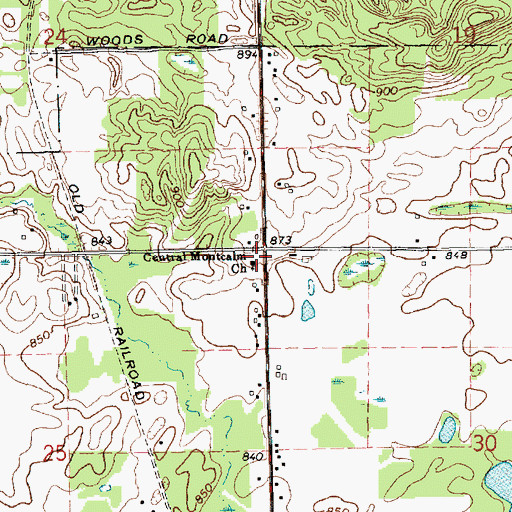 Topographic Map of Sheridan Assembly of God Church, MI