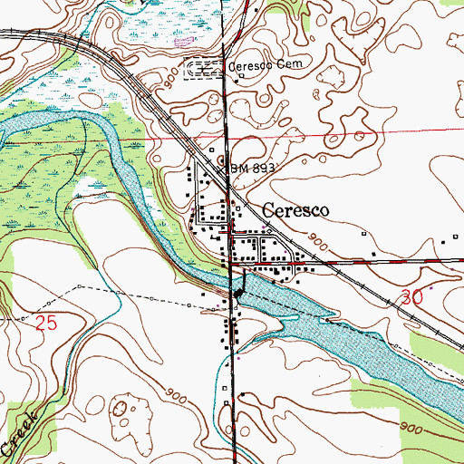 Topographic Map of Ceresco, MI