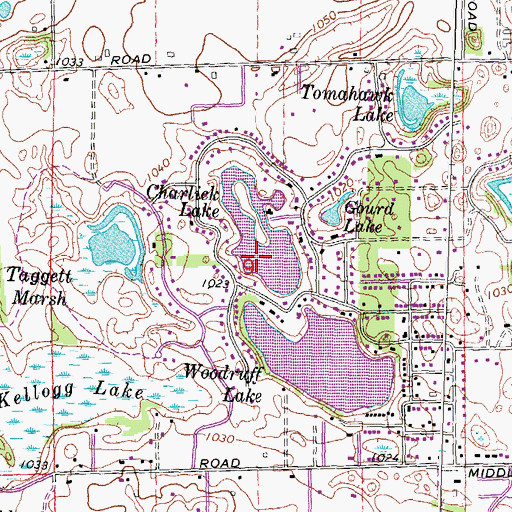 Topographic Map of Charlick Lake, MI