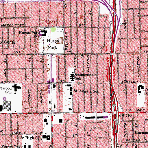Topographic Map of Chippendale School, MI