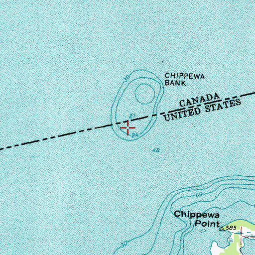 Topographic Map of Chippewa Bank, MI