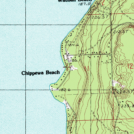Topographic Map of Chippewa Beach, MI