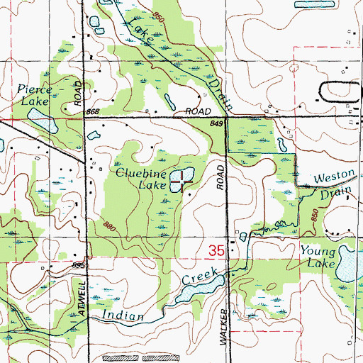 Topographic Map of Cluebine Lake, MI