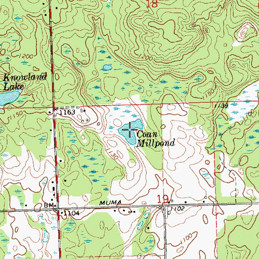 Topographic Map of Coan Millpond, MI