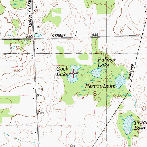 Topographic Map of Cobb Lake, MI