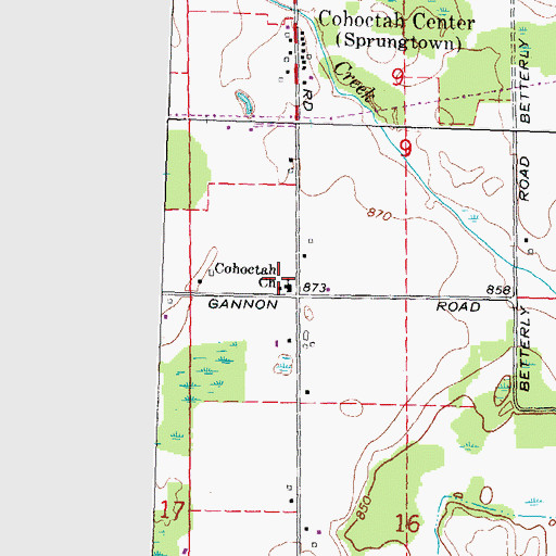 Topographic Map of Cohoctah Church, MI