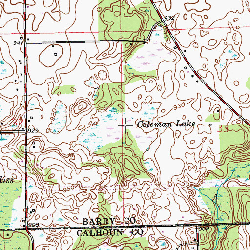 Topographic Map of Coleman Lake, MI
