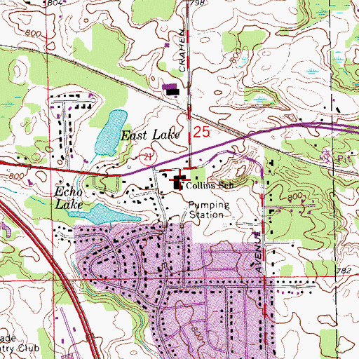 Topographic Map of Collins School, MI