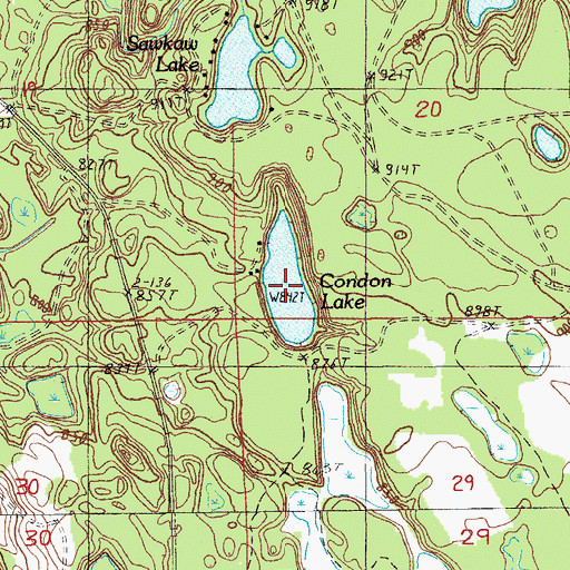 Topographic Map of Condon Lake, MI