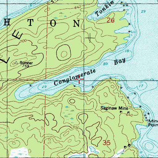 Topographic Map of Conglomerate Bay, MI