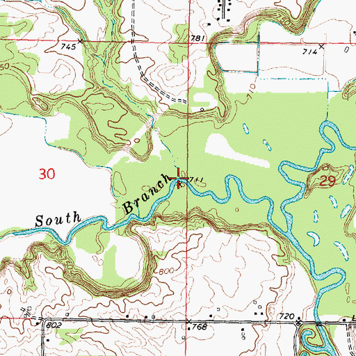 Topographic Map of Cook Drain, MI