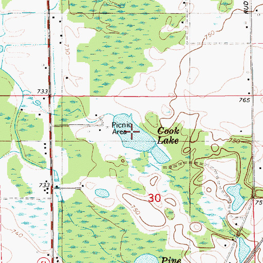 Topographic Map of Cook Lake, MI