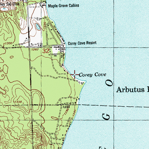 Topographic Map of Corey Cove, MI