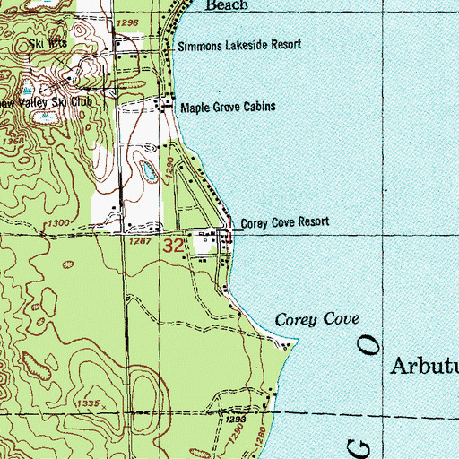 Topographic Map of Corey Cove Resort, MI