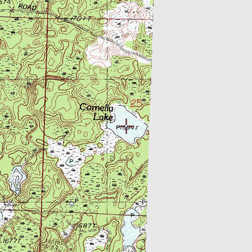 Topographic Map of Cornelia Lake, MI