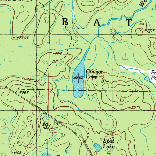 Topographic Map of Cougar Lake, MI
