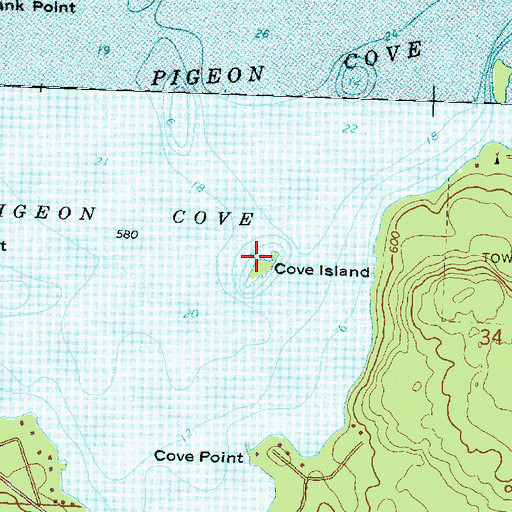 Topographic Map of Cove Island, MI