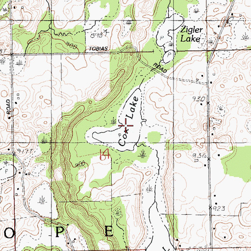 Topographic Map of Cox Lake, MI