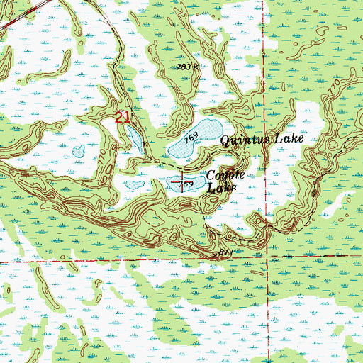 Topographic Map of Coyote Lake, MI