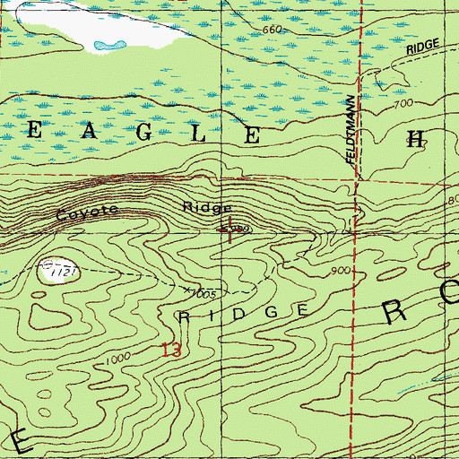 Topographic Map of Coyote Ridge, MI