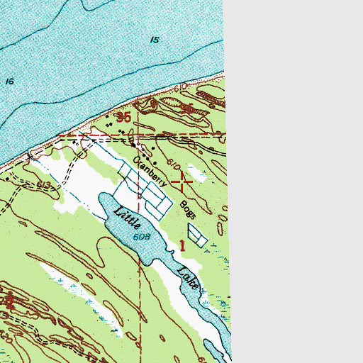 Topographic Map of Cranberry Bogs, MI