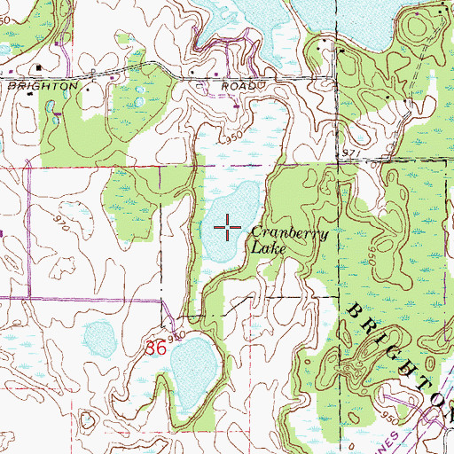 Topographic Map of Cranberry Lake, MI