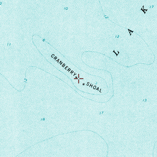 Topographic Map of Cranberry Shoal, MI