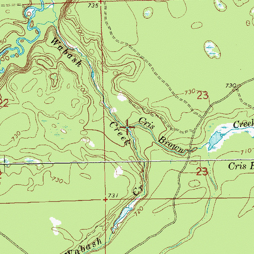 Topographic Map of Cris Brown Creek, MI