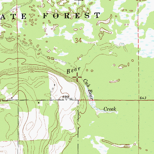 Topographic Map of Cub Bear Creek, MI