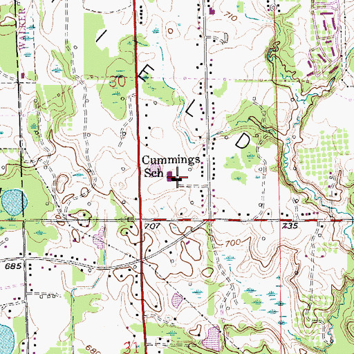 Topographic Map of Cummings School, MI