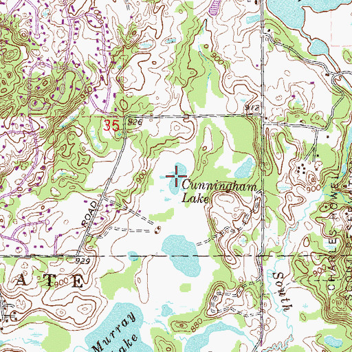 Topographic Map of Cunningham Lake, MI