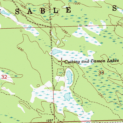 Topographic Map of Cutting and Damon Lakes, MI