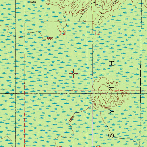Topographic Map of Cyr Swamp, MI