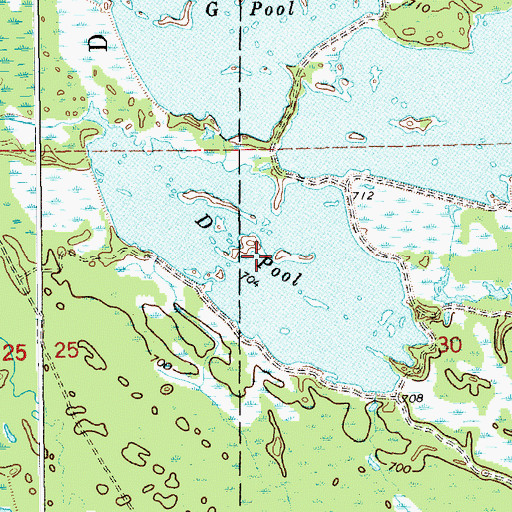 Topographic Map of D Pool, MI