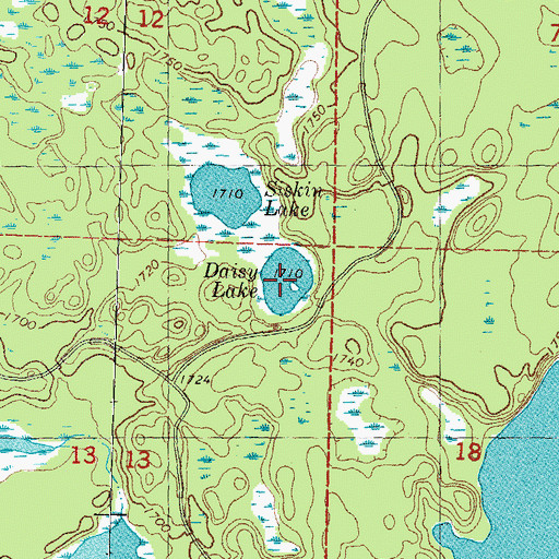 Topographic Map of Daisy Lake, MI