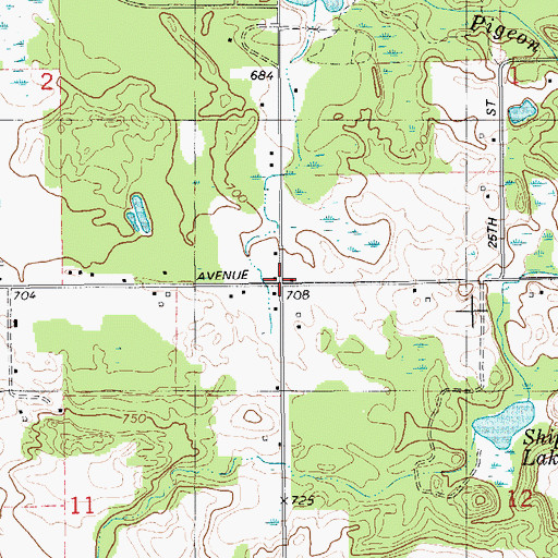 Topographic Map of Dallas School, MI