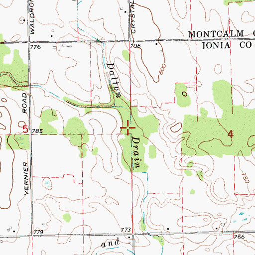 Topographic Map of Dalton Drain, MI