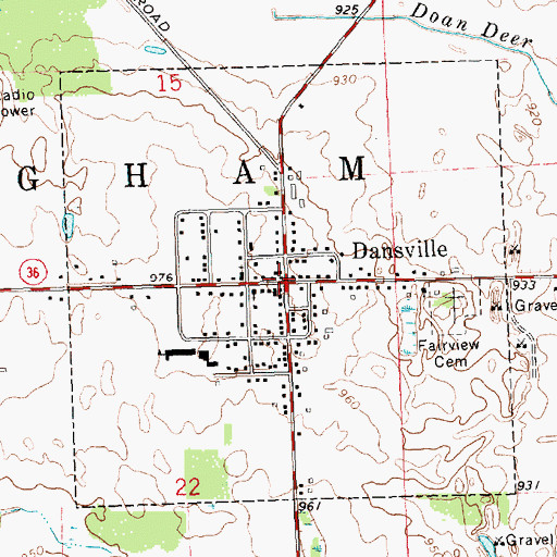 Topographic Map of Dansville, MI