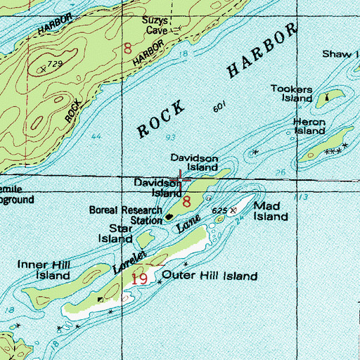 Topographic Map of Davidson Island, MI